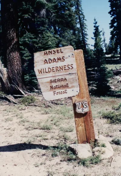 img126 (2) (Large).jpg